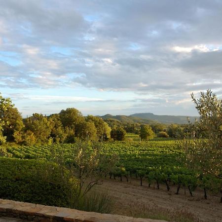 Maison Bijoux-De-Provence "Lavande" Puyméras 外观 照片