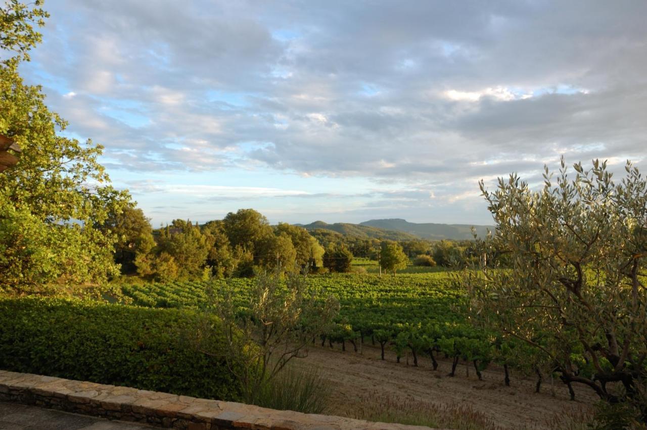 Maison Bijoux-De-Provence "Lavande" Puyméras 外观 照片